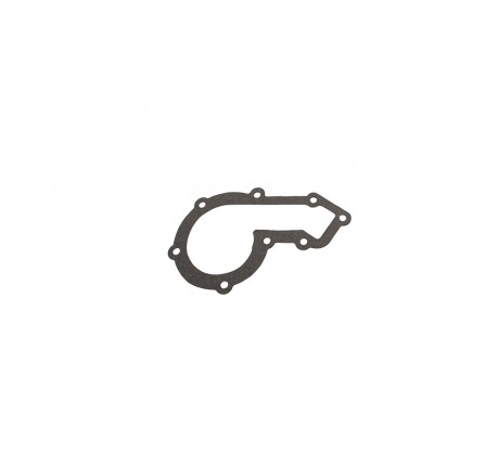 Water Pump Gasket 300 TDI