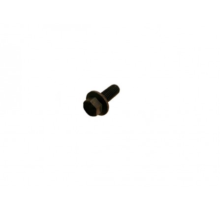 Genuine Bolt M6 x 16mm