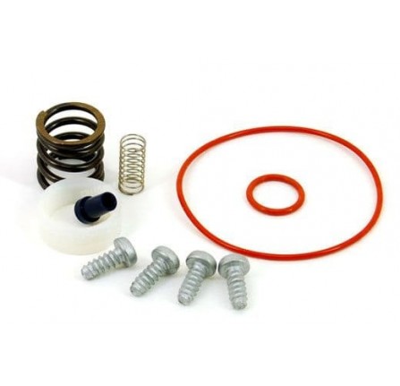 Genuine Overhaul Kit for Comprssor up to 2009