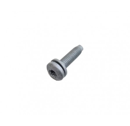 Sun Visor Mounting Bolt M6 x 20.5 Torx