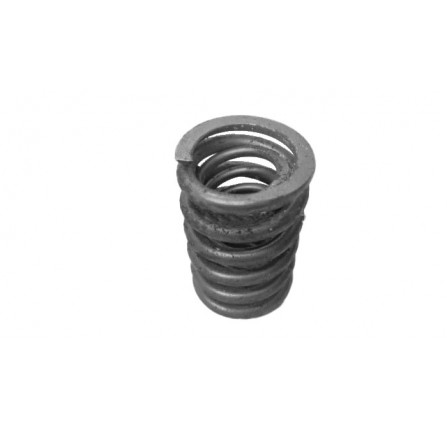 Valve Spring Inlet 2.6 Litre.