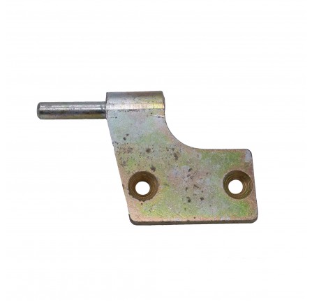 Hinge Pin and Plate R/H Lower Airportable.